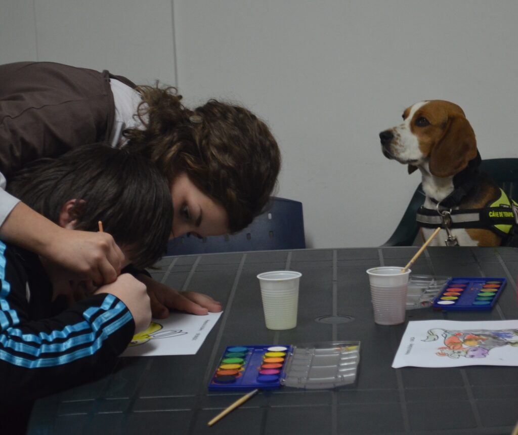 DSC_0566 Psihoterapie individuală cu copii